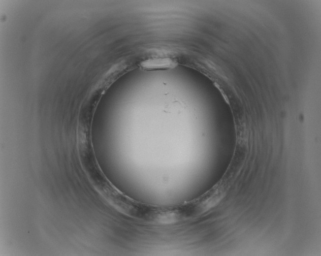 X0000074300456200609081921