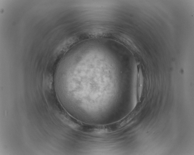 X0000074300458200609081921