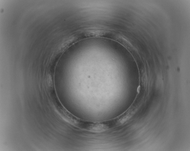 X0000074300459200609081921