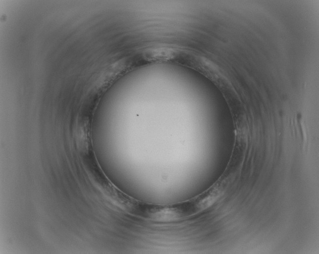 X0000074300460200609081921