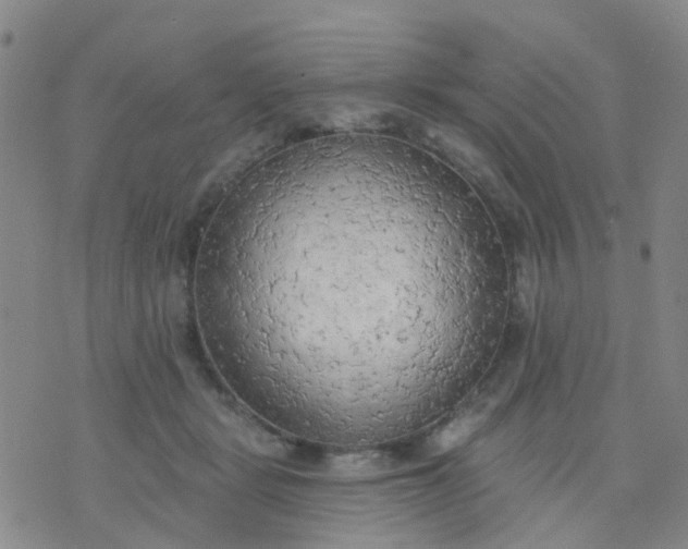 X0000074300461200609081921