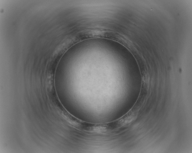 X0000074300462200609081921