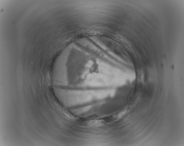 X0000074300465200609081921