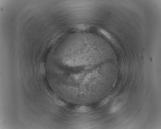 X0000074300467200609081921