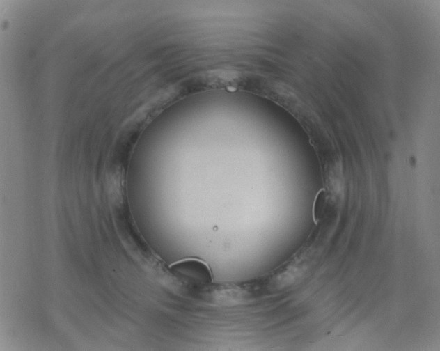 X0000074300468200609081921