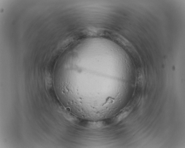 X0000074300469200609081921