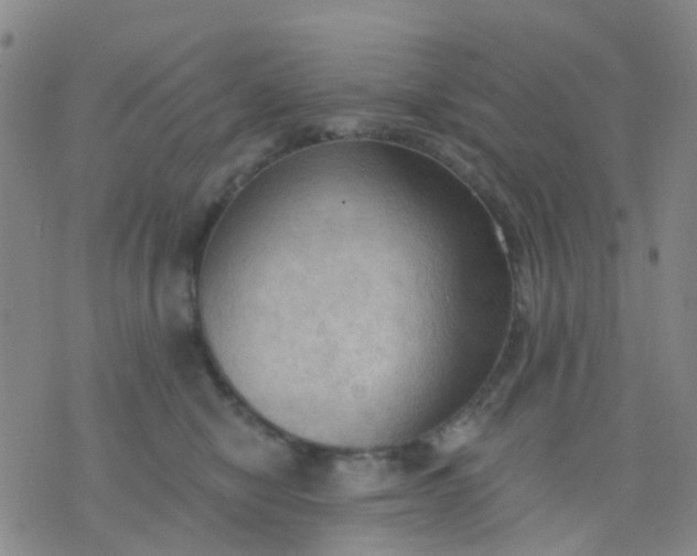 X0000074300470200609081921