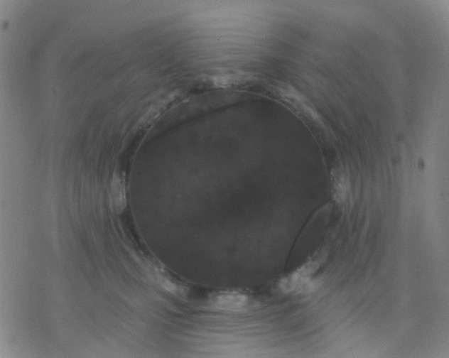 X0000074300471200609081921