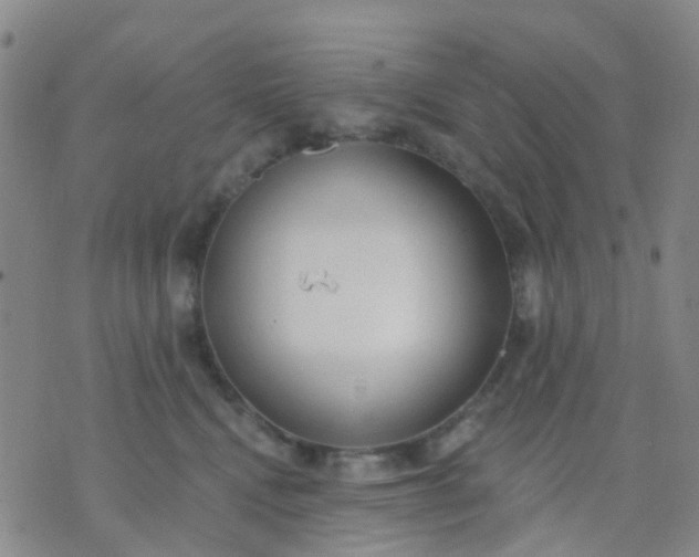 X0000074300472200609081921