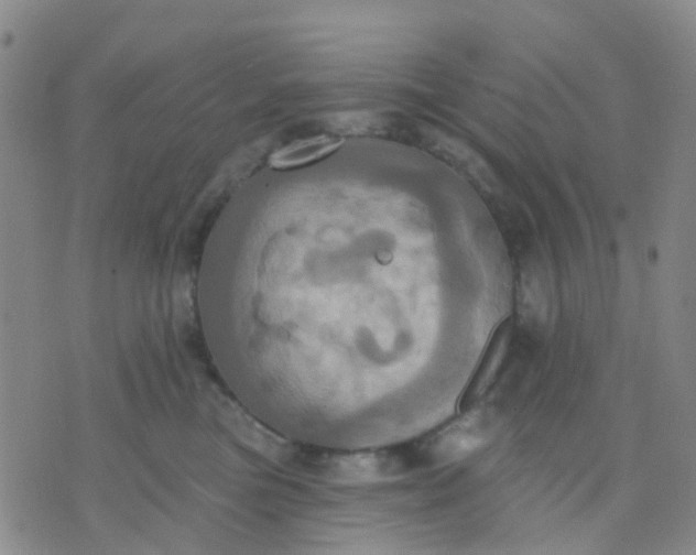 X0000074300473200609081922