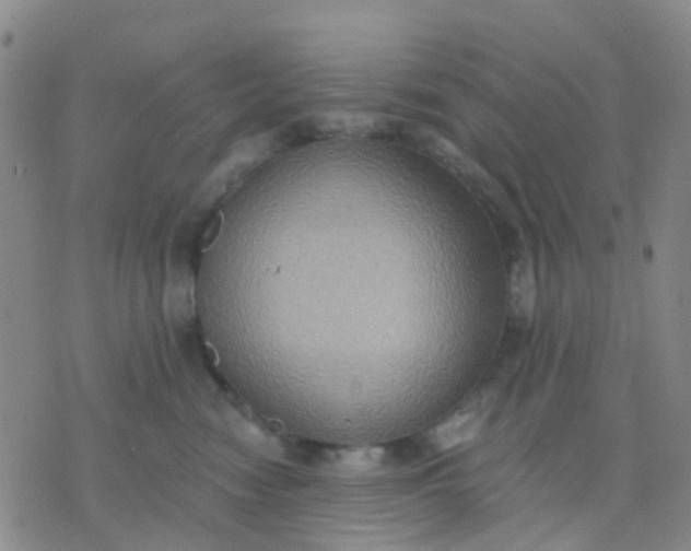 X0000074300474200609081922