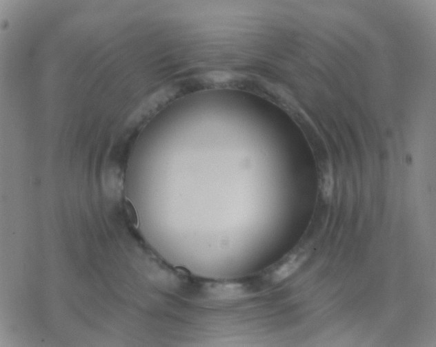 X0000074300476200609081922