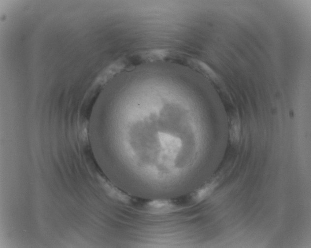 X0000074300477200609081922