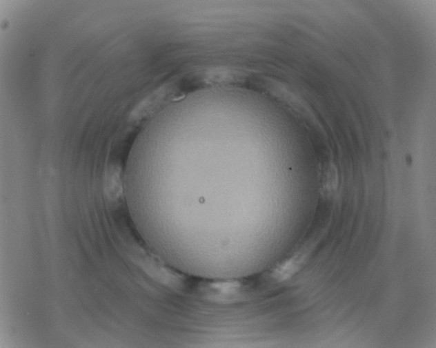 X0000074300478200609081922