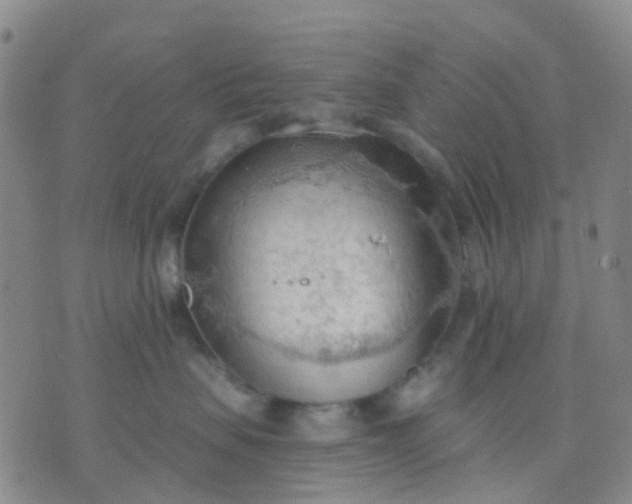 X0000074300479200609081922