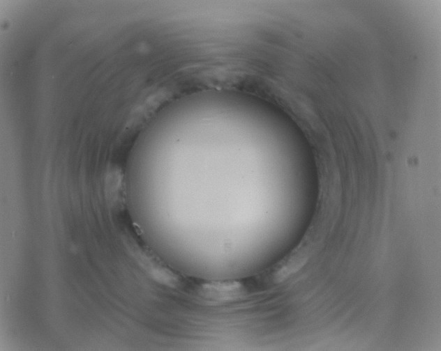 X0000074300480200609081922