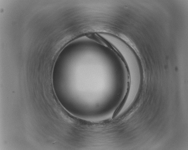 X0000074300481200609081921