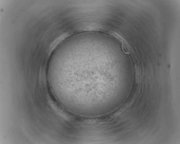 X0000074300482200609081921