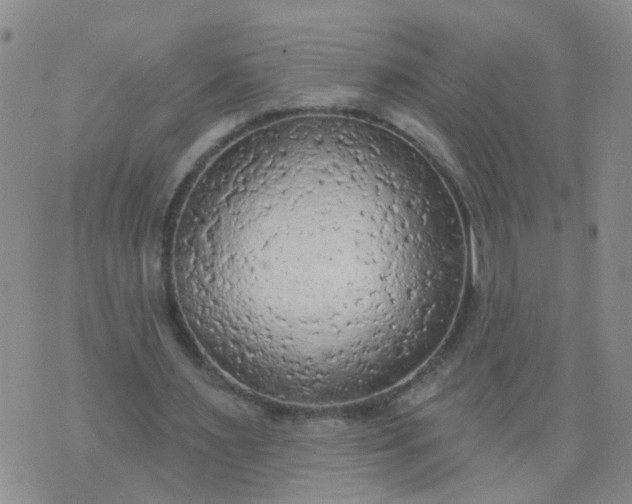 X0000074300483200609081921