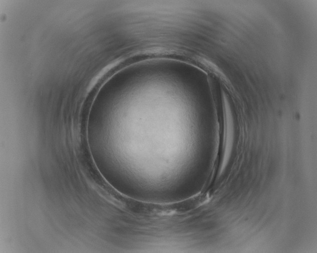 X0000074300484200609081921