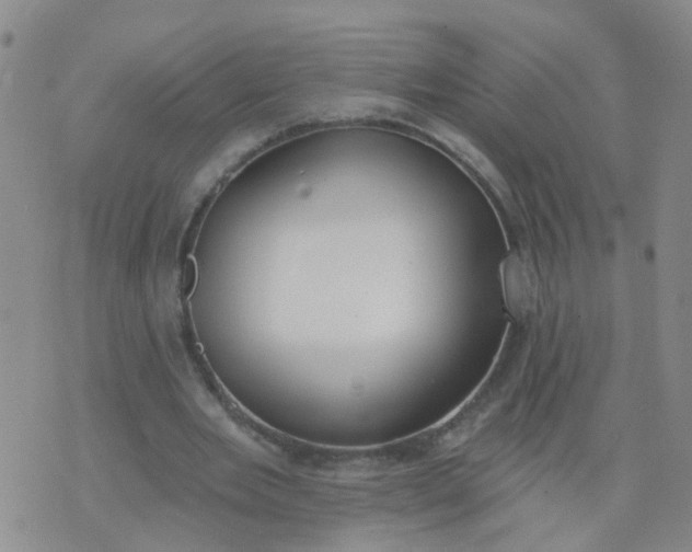 X0000074300485200609081921