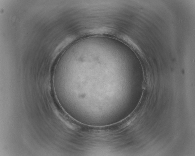 X0000074300486200609081921