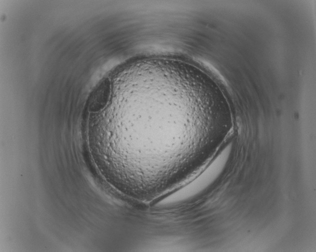 X0000074300487200609081921