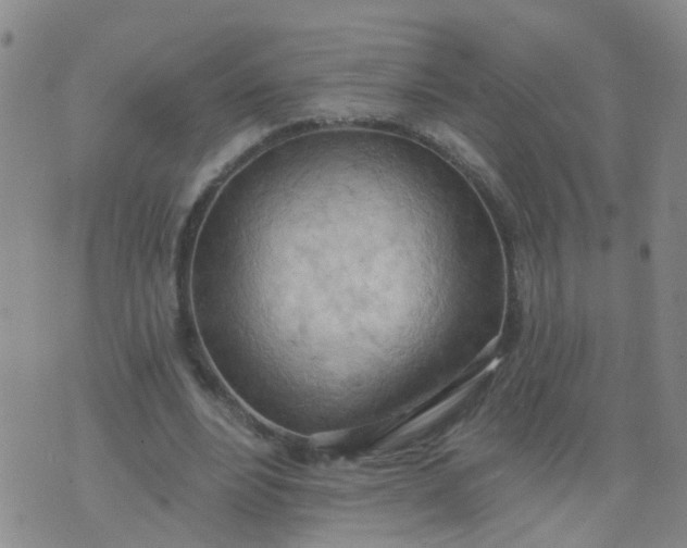 X0000074300488200609081921