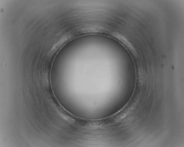 X0000074300489200609081921