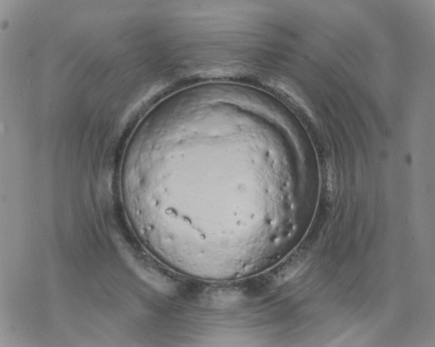 X0000074300491200609081921