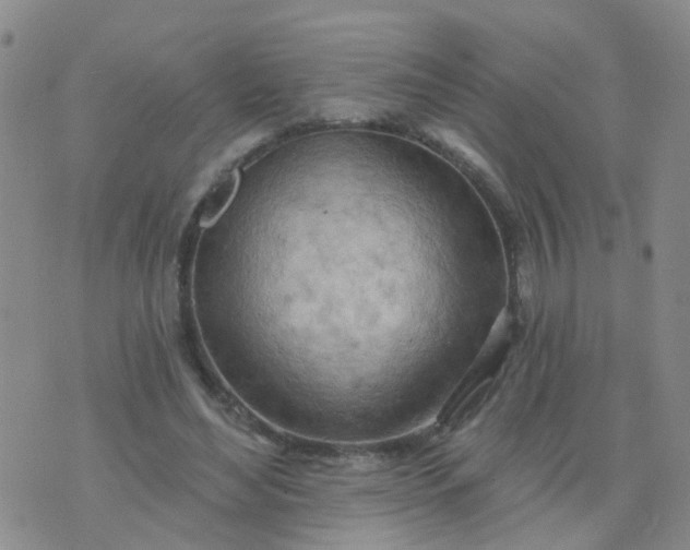 X0000074300492200609081921