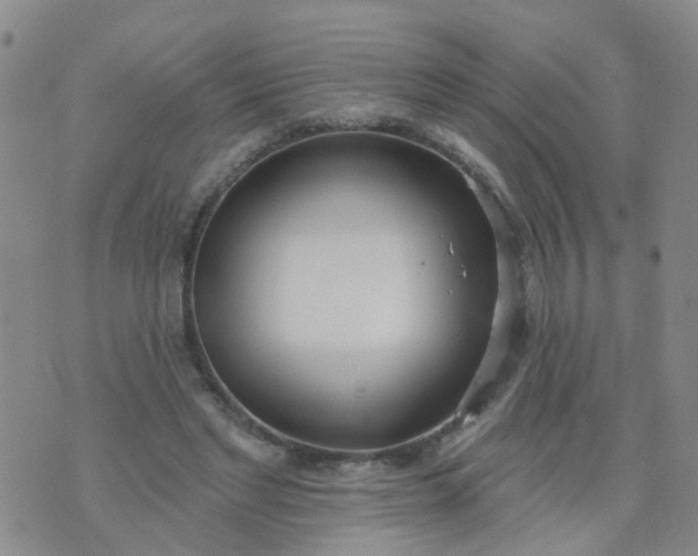 X0000074300493200609081921