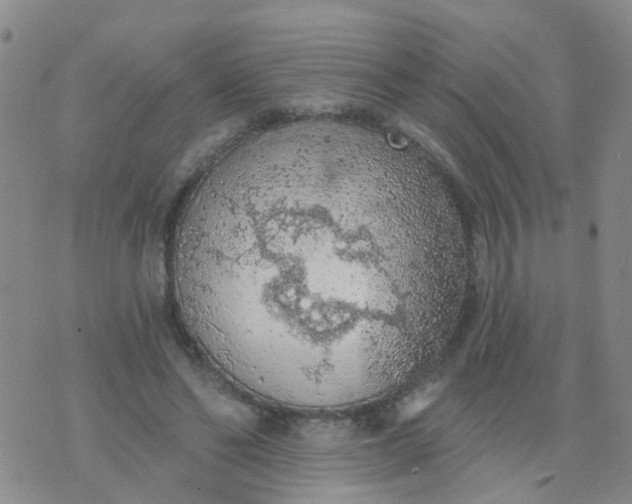 X0000074300494200609081921