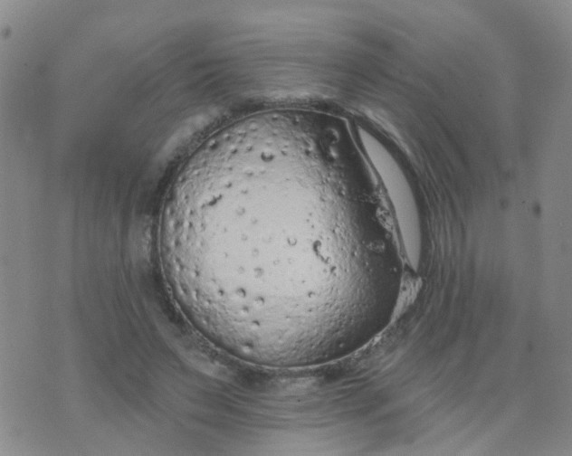 X0000074300495200609081921