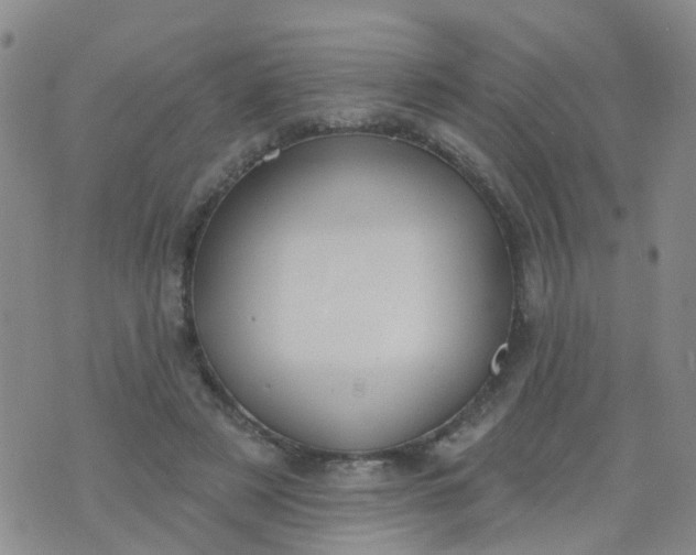 X0000074300497200609081921