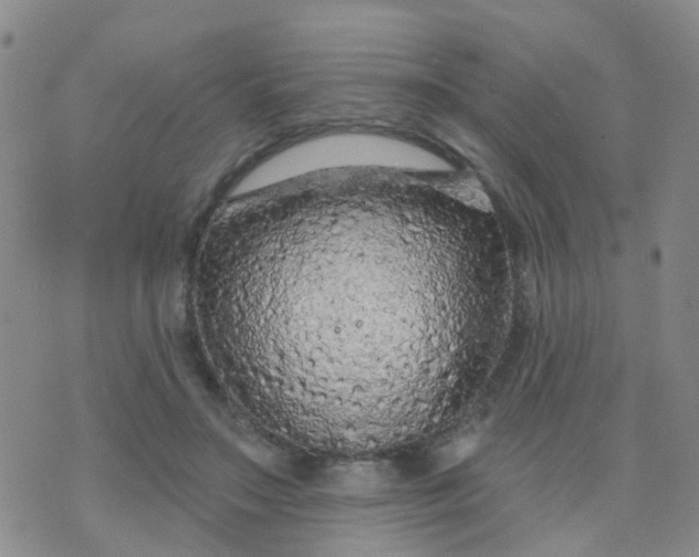 X0000074300499200609081921