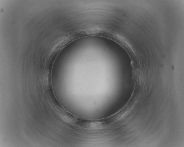 X0000074300501200609081921