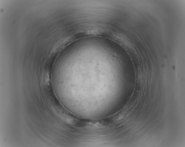 X0000074300502200609081920