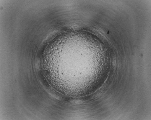 X0000074300503200609081920