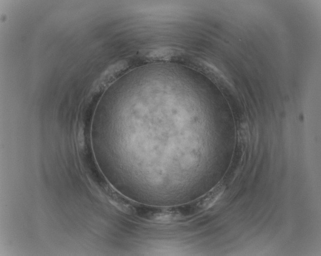 X0000074300504200609081920