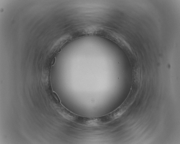 X0000074300505200609081920