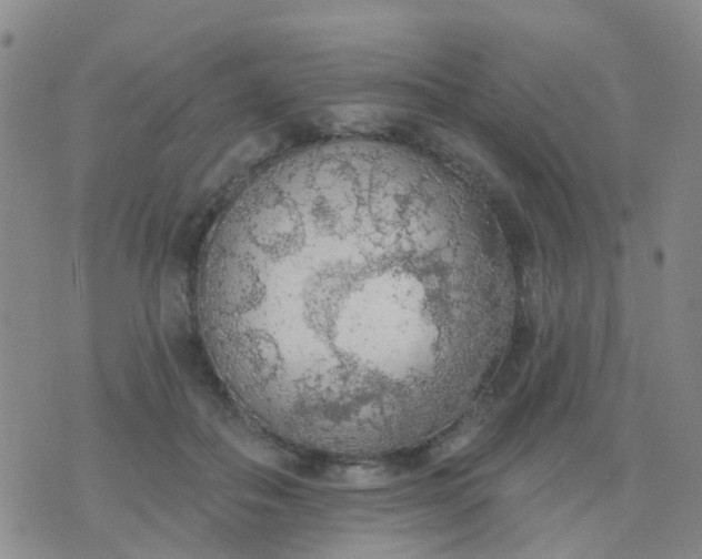 X0000074300506200609081920