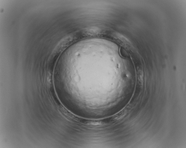 X0000074300507200609081920