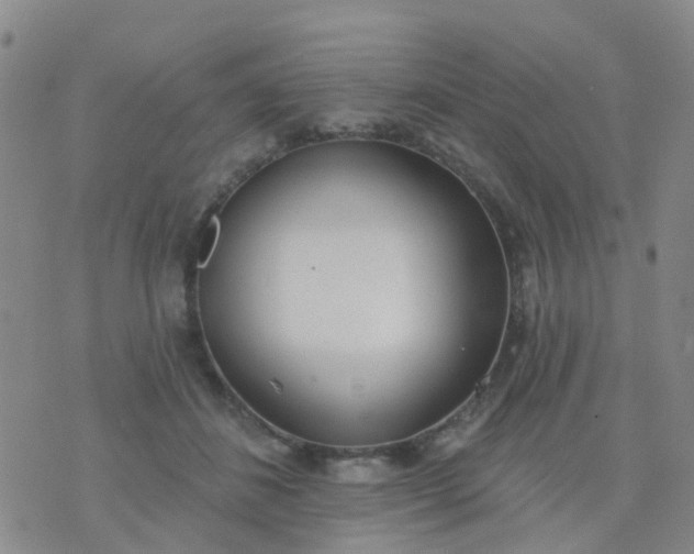 X0000074300508200609081920