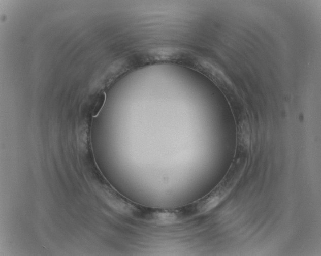 X0000074300509200609081920