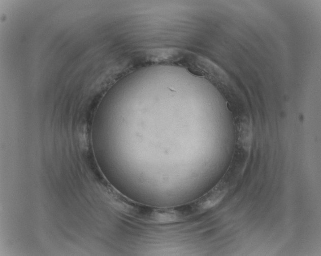 X0000074300510200609081920