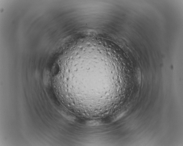 X0000074300511200609081920