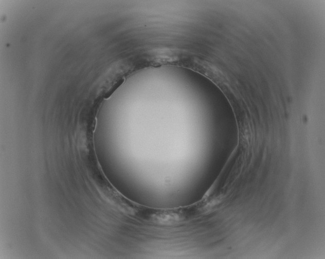 X0000074300512200609081920