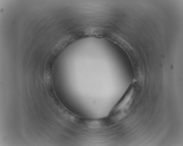 X0000074300513200609081920