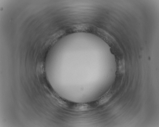 X0000074300514200609081920